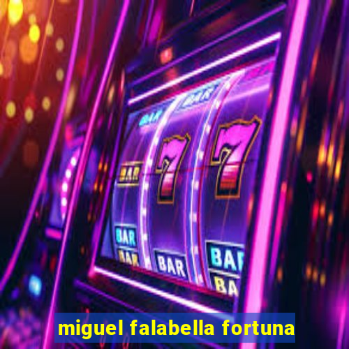 miguel falabella fortuna